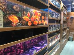 -龟与熊猫宠物公园(南坪店)