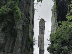 -恩施大峡谷