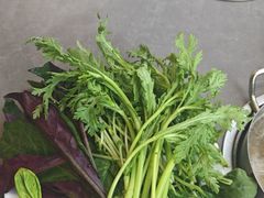 -张哞哞·鲜切牛肉自助火锅(高德置地店)