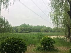 -昆山城市生态森林公园