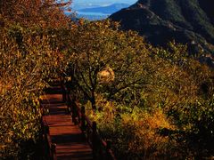 -大岭沟猕猴桃谷风景区