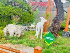 -白鹿原·白鹿仓