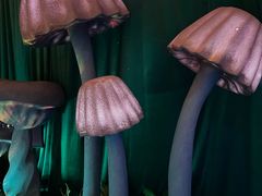 -欢乐海岸-地下停车场