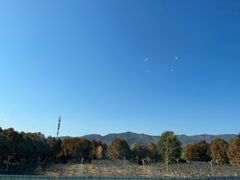 -那家山城(樱桃园店)