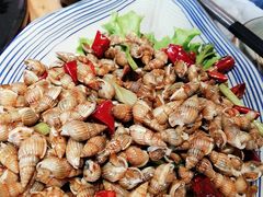 辣炒海瓜子-77号渔船·蒸海鲜青岛菜(积米崖店)