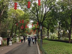 -顺峰山公园