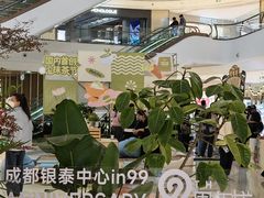 -成都银泰中心in99