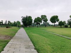 -西京湾花海