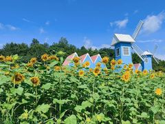 -宜兴龙背山森林公园