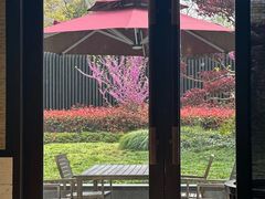 -品悦(崇明凯悦店)