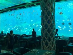 -瑞德姆美人鱼海底演艺主题餐厅(亚龙湾店)