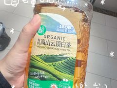 -TESLA 特斯拉(郑州正弘城体验店)