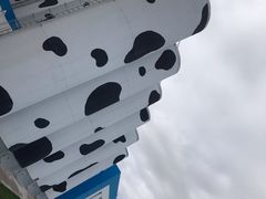 -蒙牛工业旅游景区