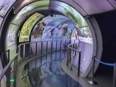 -房山世界地质公园博物馆