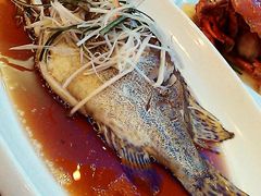 鱼呀~-盐通酒家(金桥湾清水苑店)