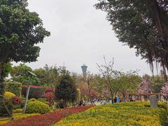 -狐尾山公园
