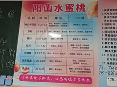 -老袁家蜜桃农场·阳山水蜜桃