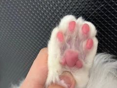 -comecome来吧宠物(奥克斯中心店)