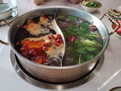 -菌子鲜汤野生菌锅