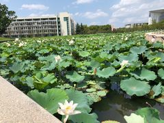 -南京医科大学(江宁校区)