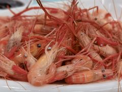 -八仔大富楼·河鲜(西江店)