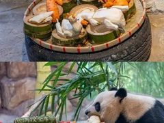 -广州长隆野生动物世界