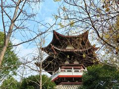 -武汉园博园(武汉自然博物馆)
