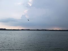 -丁香湖公园