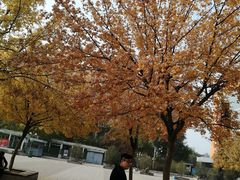 -同至人购物中心(朝阳街店)