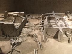 -洛阳周王城天子驾六博物馆