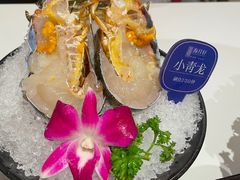 -海月轩海鲜豆捞(紫金塔店)