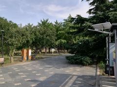 -太阳宫公园