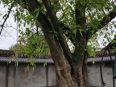 -临江后街鳝丝(临江店)