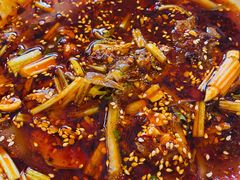 -曾牛肉