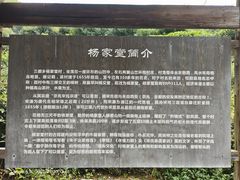 -杨家堂村
