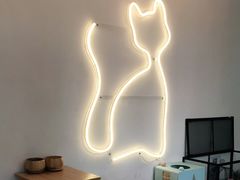 -有猫主题·治愈系猫咖(曾厝垵店)