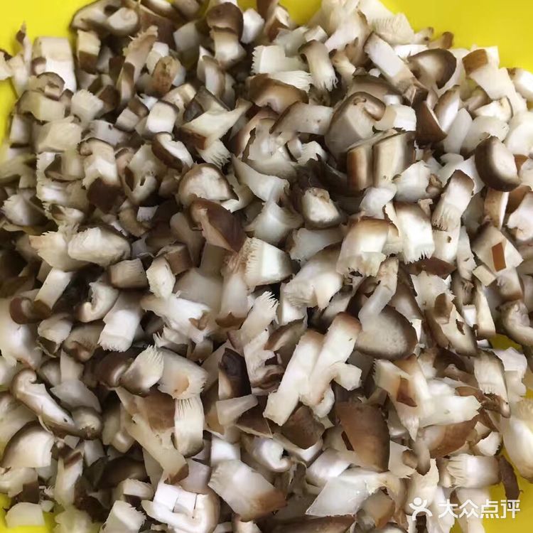 番茄蘑菇肉酱意大利面🇮🇹