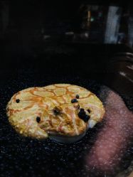 -Zoolung Zoolung动物主题公园(海信广场店)