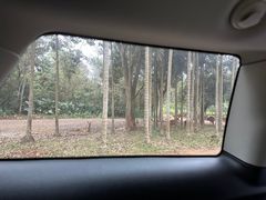 -海南热带野生动植物园