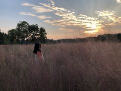 -艾溪湖湿地公园