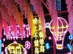 -贵安欢乐世界