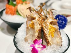 -海月轩海鲜豆捞(紫金塔店)