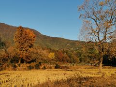 -塔川景区