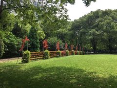-上海交通大学医学院附属瑞金医院(总院)