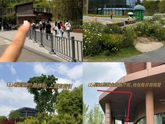 -成都大熊猫繁育研究基地