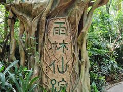 -广州长隆野生动物世界