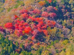 -潭溪山