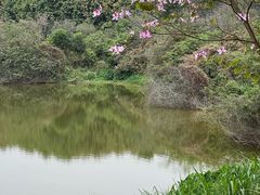 -松山湖风景区松湖烟雨