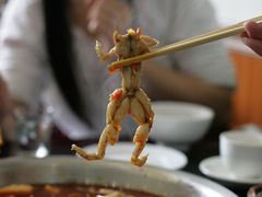 特写小田鸡-自贡好吃客(科华店)