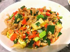 鸭掌筋-壹盏灯(惠农店)